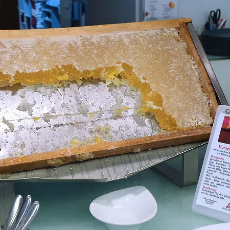 Hotel Kieler Yacht-club 4*